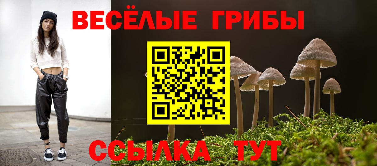 Псилоцибиновые грибы Cubensis  Псилоцибиновые грибы мицелий  Вход с VPN  Большой Камень 